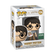 Фігурка Funko POP! HARRY POTTER WITH BIRTHDAY CAKE (HARRY POTTER) \ Фанко поп Гаррі Поттер (Гаррі Поттер) 316901 фото 1